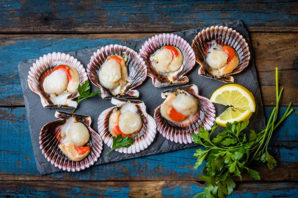 are sea scallops healthy to eat